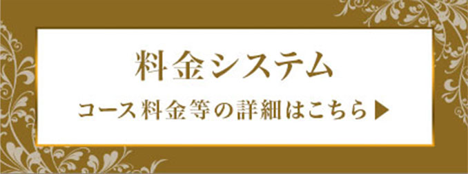 料金システム